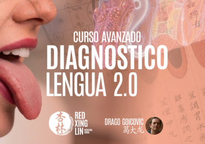 DIAGNOSTICO DE LENGUA 2.0 (En vivo, vía Zoom)