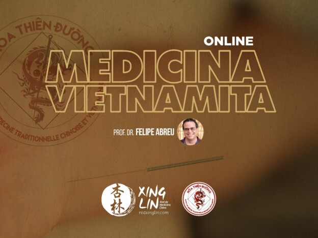 Curso de Medicina Imperial Vietnamita course image
