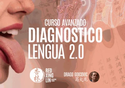 Curso avanzado de Diagnóstico de Lengua 2.0