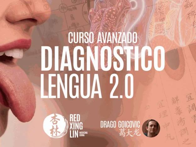 Curso avanzado de Diagnóstico de Lengua 2.0