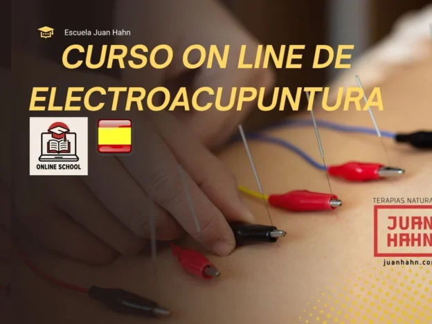 Electroacupuntura — Juan Hahn